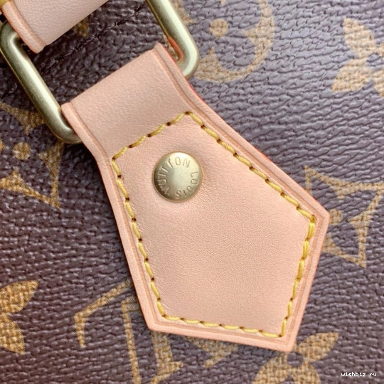 WIS SPEEDY Louis Vuitton 25 0114